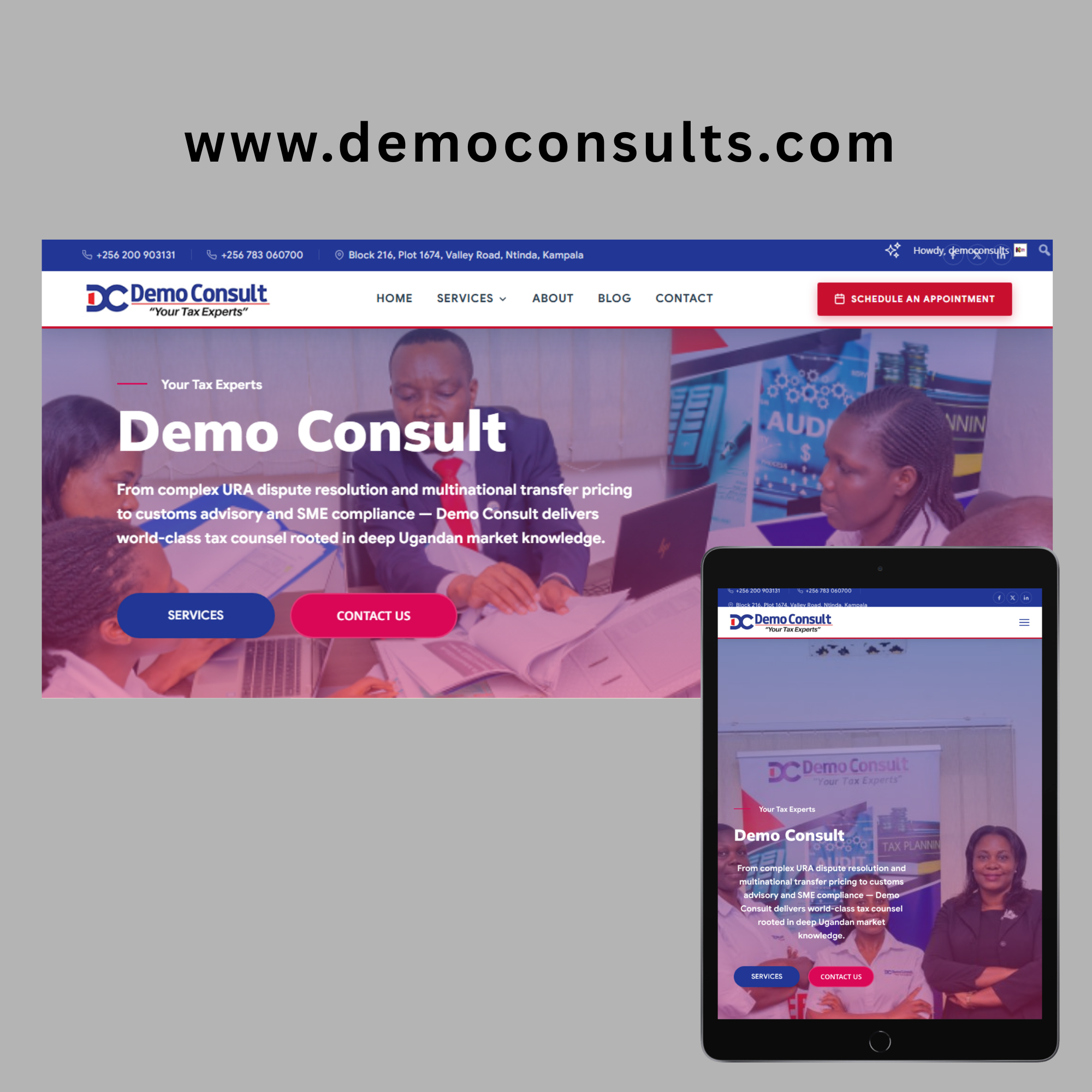 Demo Consult website design by KP Media UG